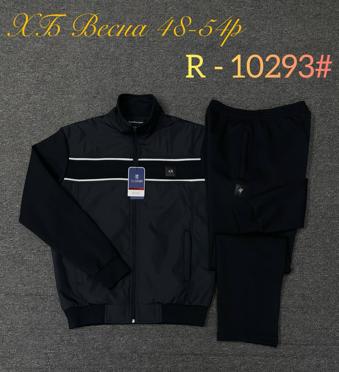 R-10293